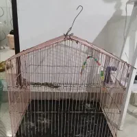 قفس پرنده