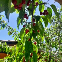 خانه ویلایی شهر جدید امیر کبیر