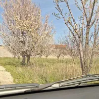 زمین زراعی