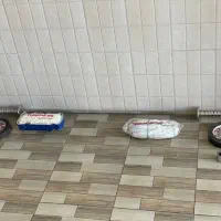 هالتر و وزنه بدنسازی