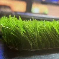 چمن باغ و زمین بازی