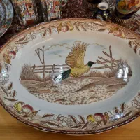 دیس بزرگ ژاپنی