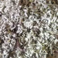 گیاه دارویی، عطاری