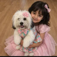 تخفیف ویژه سگ شیتزو فقط 5 م