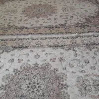فرش|فرش|رشت, یخسازی|دیوار
