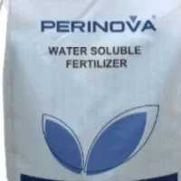 کودپرینوا مکزیکی