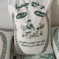 برنج چمپا درجه یک