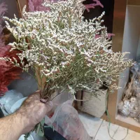 فروشنده خانم