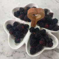 تمشک تازه و آبدار روز