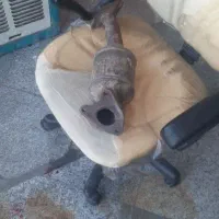 کاتولیز