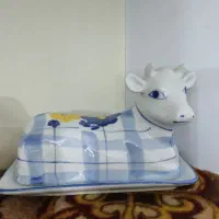 گل پنبه قدیمی