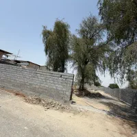 فروش ۱۰۰۰ منر زمین بلوار شهید سلیمانی