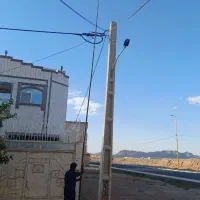 چوب گردو تکانی و بادام تکانی