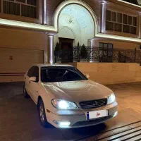 maxima