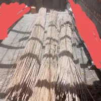 نی سقفی بفروش میرست