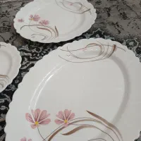 اکروپال ۱۸ نفره در حد نو