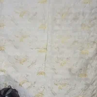 تخت فلزی دو نفره با دوشگ