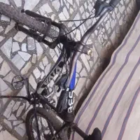 دوچرخه ۲۶ ویوا