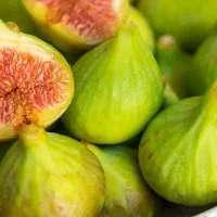 فروش انجیر