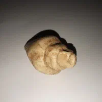 فیسیل زیبا خیلی ارزان