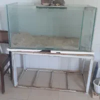 آکواریوم