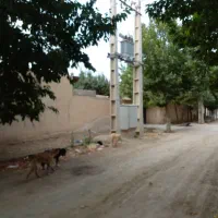 315-متر-زمین-زکی-آباد