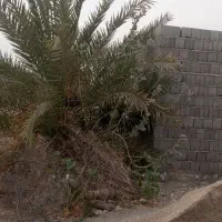 فروش-خانه