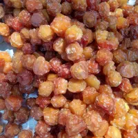 آلوچه|خوردنی و آشامیدنی|کرج, خلج آباد|دیوار