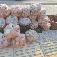 سیب زمینی و پیاز