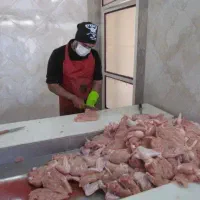 نیرو کارکرده خردی مرغ و ماهی