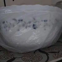 آبگوشت خوری آرکوپال