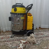 مبل شوی کیوانلو جوین نقاب جقتای