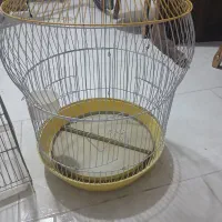 قفس پرنده