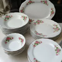 ابگوشتخوری گلسرخی لب داشبوردی دستی ۱۷۰۰