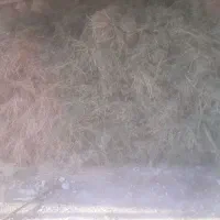 یونجه