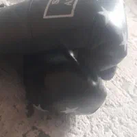 دستکش بوکس سالم