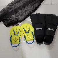 فین و کفی نو