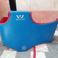 هوگو ووشو