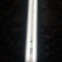 مهتابی