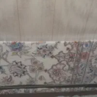 قالی ۱۲ تایی ناینی نصفش بافته شده