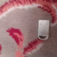 فلش