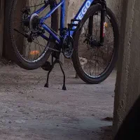 دوچرخه wego