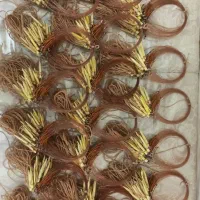 دام تله پاگیر بلدرچین کوهی و پرندگان