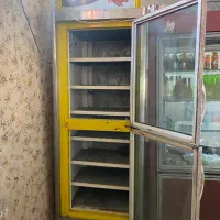 فریزر ایستاده صنعتی