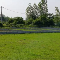 250-متر-زمین-داخل-طرح-هادی-با-نامه-بنیاد