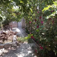 چهاردیواری-620-متری-بنا-قدیمی-جنگلی