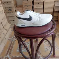 کفش نو|کیف، کفش، کمربند|کاشمر, |دیوار