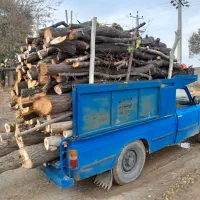 خرید چوب ترو خشک