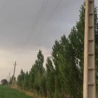 سی-هکتار-زمین-کشاورزی-سندششدانگ