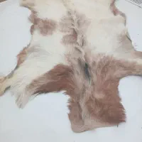 پوست بزوگاو